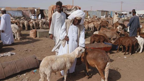 الحرب تسرق فرحة العيد في السودان… «خروف الأضحية» يتحول إلى حلم بعيد