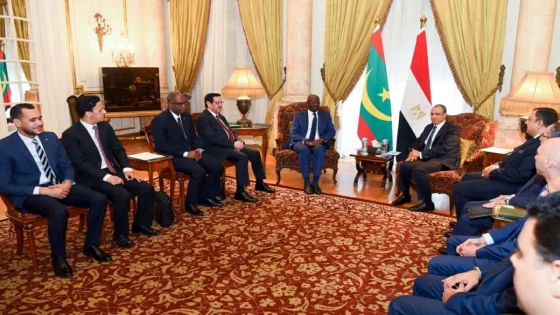مباحثات بين بدر عبد العاطي ونظيره الموريتاني حول الأوضاع الإقليمية وتعزيز التعاون العربي الإفريقي