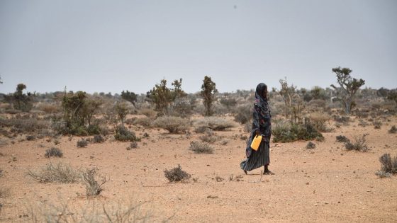 تقرير أممي: تحسن بطيء في التنمية البشرية بإفريقيا مع استمرار فجوة كبيرة عالمياً