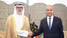 وزيرا خارجية مصر والكويت يبحثان تطورات المنطقة ويؤكدان أهمية خفض التصعيد