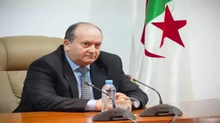رئيس الوزراء الجزائري يبحث مع نظيره النيجري تعزيز التعاون في الطاقة والتجارة