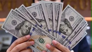 استقرار سعر الدولار أمام الجنيه المصري في بداية تعاملات الخميس