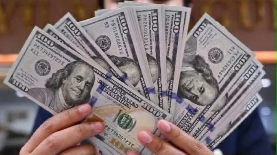 استقرار سعر الدولار أمام الجنيه المصري في بداية تعاملات الخميس