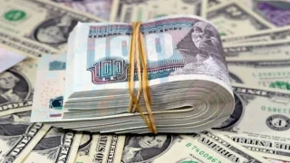 الدولار يقترب من 50 جنيهاً . و3 سيناريوهات من مورجان ستانلي لمستقبل سعر الصرف