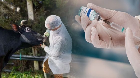 مرض غامض يصيب أبقار القرعون.. والزراعة اللبنانية تحذر من الشائعات