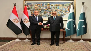 مصر وباكستان يبحثان الأوضاع الأمنية في المنطقة