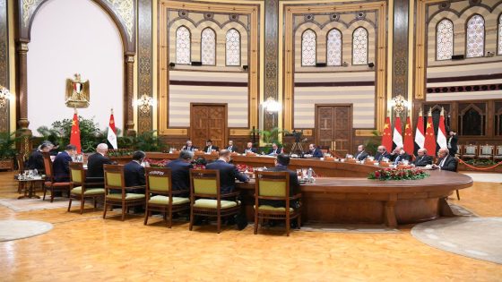 مصر والصين تتفقان على تعميق الشراكة الاستراتيجية وتعزيز التعاون في الاقتصاد والتنمية وقضايا المنطقة